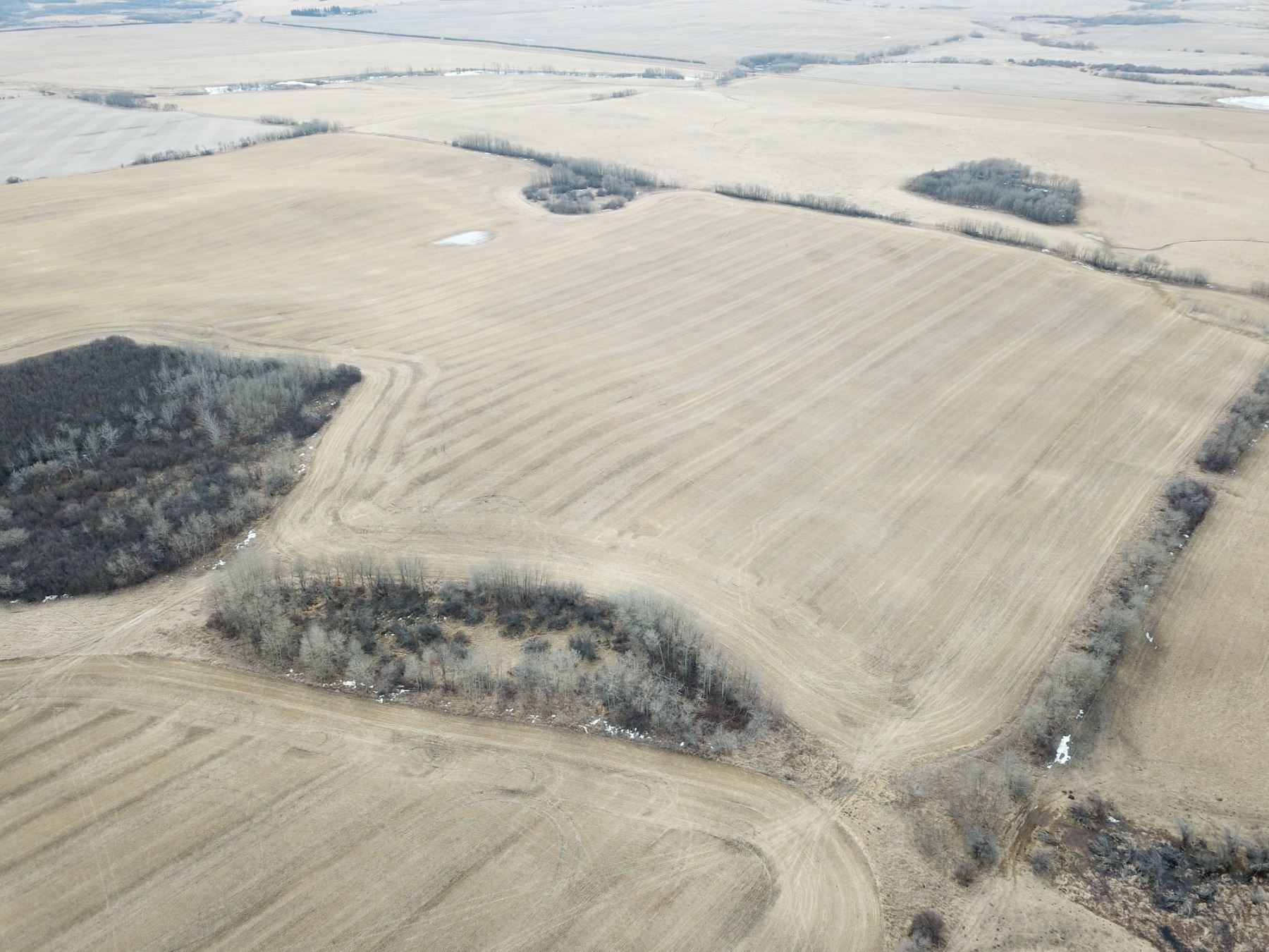 SE21518W4 County of Minburn RE/MAX Prairie Realty