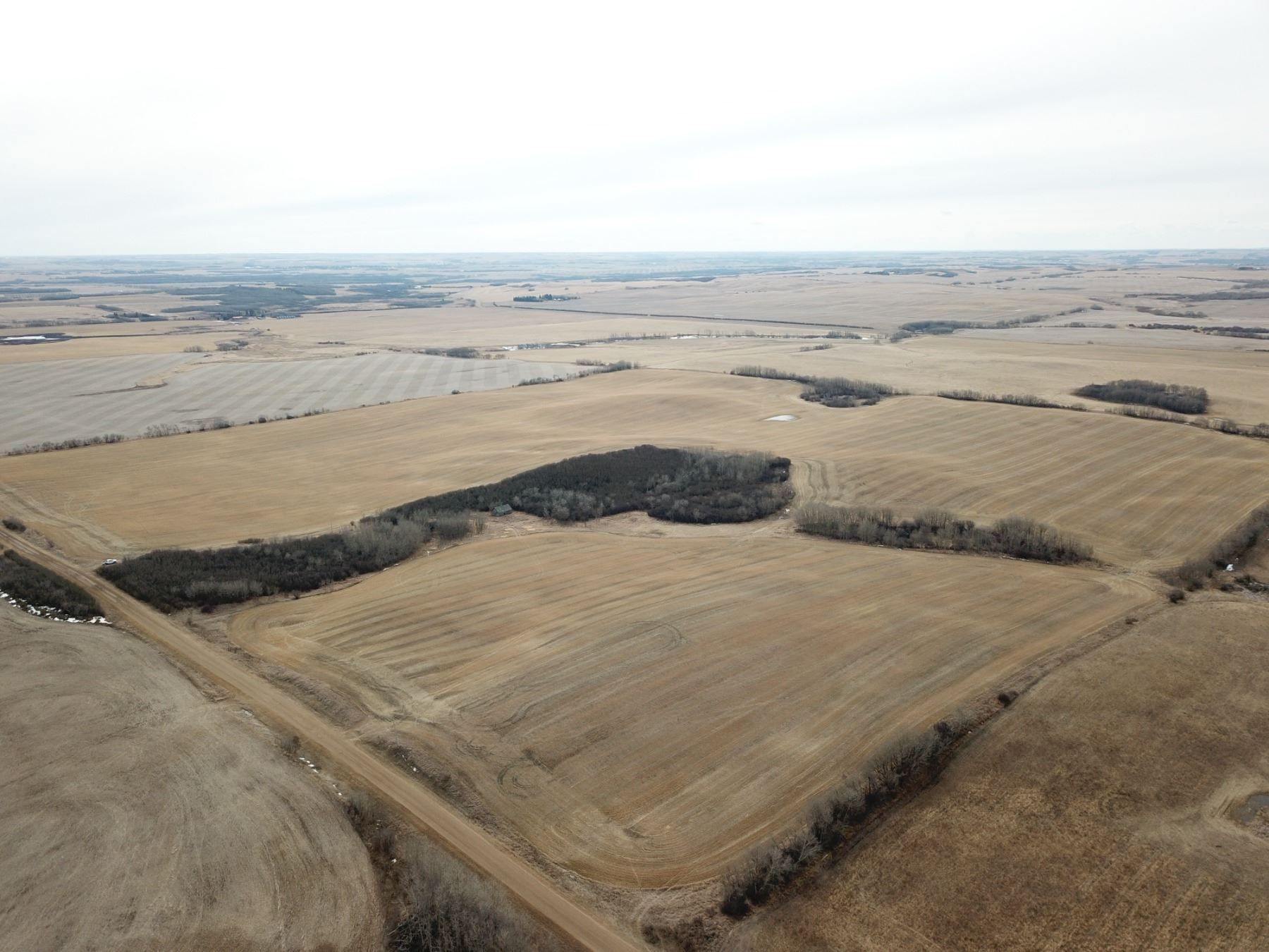 SE21518W4 County of Minburn RE/MAX Prairie Realty