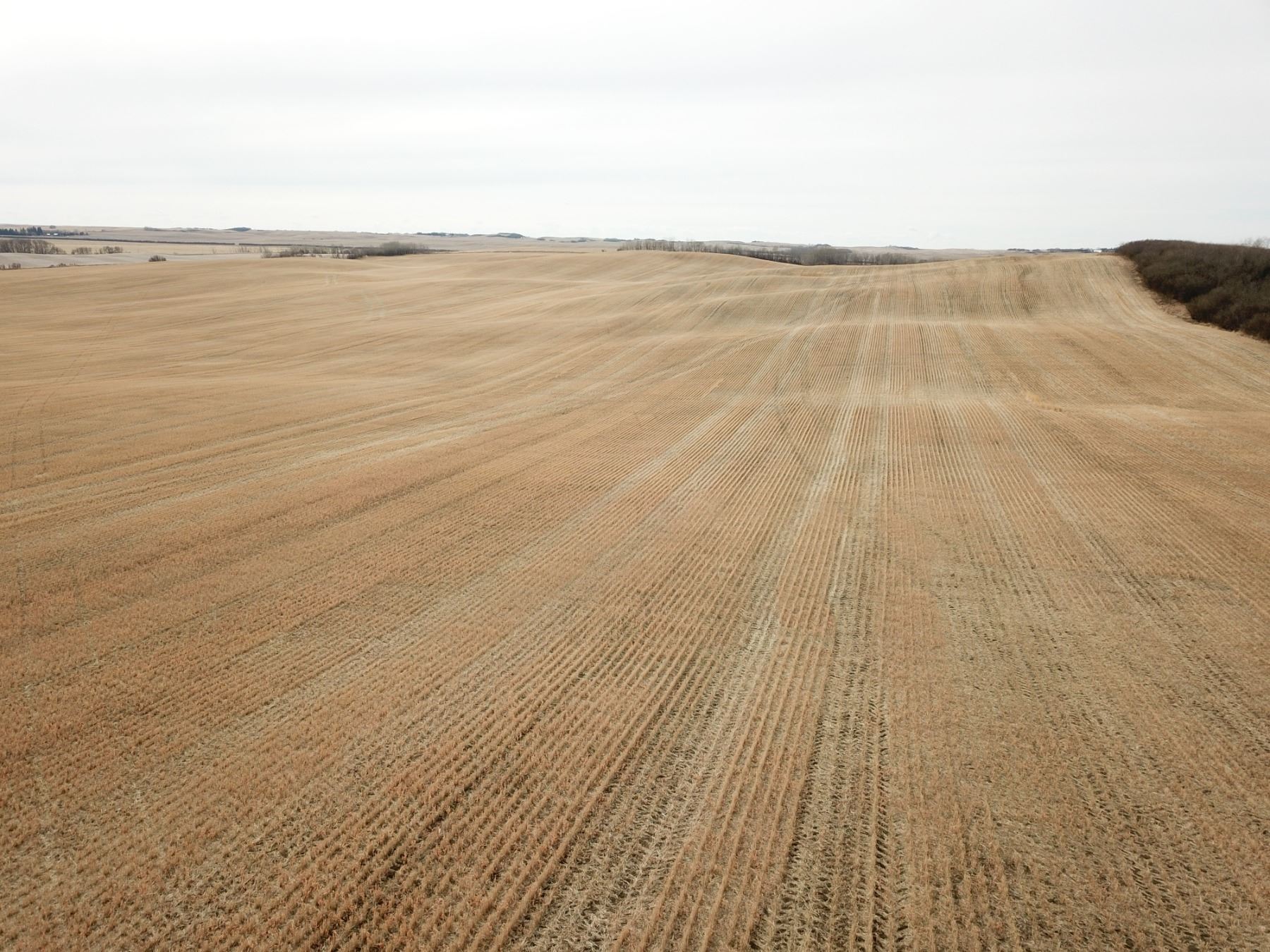 SE21518W4 County of Minburn RE/MAX Prairie Realty