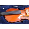 Image 3 : Violin with Case
