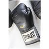 Image 2 : Everlast Boxing Gloves, Century Boxing Shield