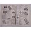 Image 3 : Book of World Coins 1601-1700 5th Edition