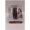 Image 8 : Riddell Colligate Products (Collage Football) Speed Mini Helmet "South Carolina, George Rogers" Sign