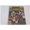 Image 4 : (7) Lot of Spiderman Golden Age Comic Books