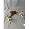 Image 2 : 2 Pairs Of  Deer Antlers