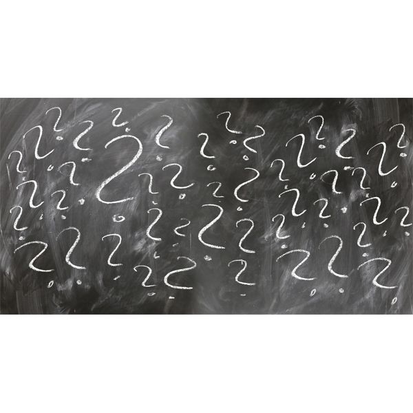 INTERESTED IN ABSENTEE BIDS?