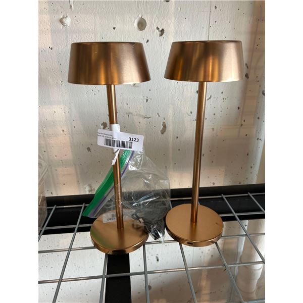 Set of 2 Cordless Rechargable Table Lamps