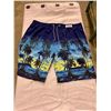 Image 1 : Mens 3XL bathing suit / swim trunks