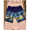 Image 2 : Mens 3XL bathing suit / swim trunks