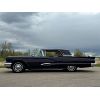 Image 21 : 1959 FORD THUNDERBIRD