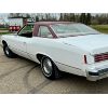 Image 10 : 1975 PONTIAC CATALINA