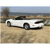 Image 2 : 1999 Pontiac Firebird