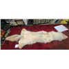Image 8 : 57" TANNED COYOTE (BRUSH WOLF) HIDE