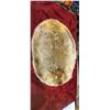 Image 2 : 34 X 25 1/2" TANNED BEAVER PELT