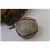 Image 4 : Cooper Glove - Baseball