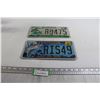 Image 1 : (2) Florida License Plates