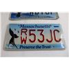 Image 2 : Florida and Massachusetts License Plates