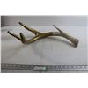 Image 1 : Decorative Antler Shed