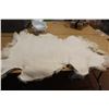 Image 2 : High Mountain Goat  Skin (43" x 30")