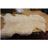 Image 5 : High Mountain Goat  Skin (43" x 30")