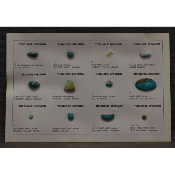 TURQUOISE SPECIMEN CHART