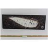 Image 1 : Edmonton Oilers Canvas - 30" x 10"