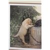 Image 2 : Wild Wings The Water Bucket by Jim Lamb Puppy Print Picture - 30" x 25"