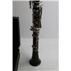 Image 4 : Reso-Tone Clarinet