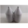 Image 3 : (2) Jugs Floor Sealer