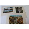 Image 3 : Yellow Stone National Park Prints