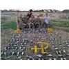 Image 2 : Argentina Dove Hunt for 4 Hunters