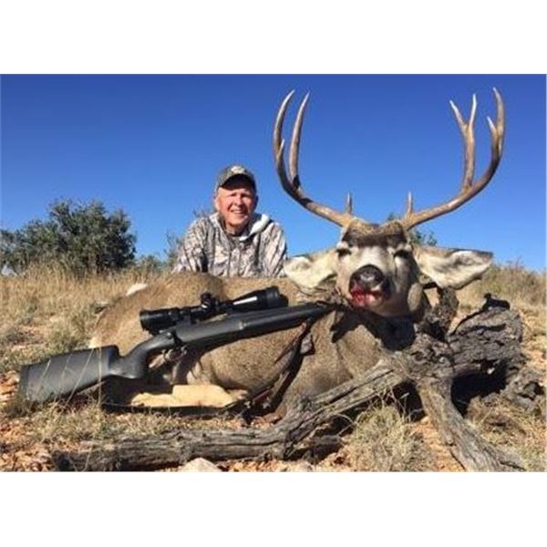 Mule Deer in New Mexico Rifle Hunt for 2 Hunters