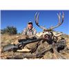 Image 1 : Mule Deer in New Mexico Rifle Hunt for 2 Hunters