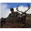 Image 3 : Mule Deer in New Mexico Rifle Hunt for 2 Hunters