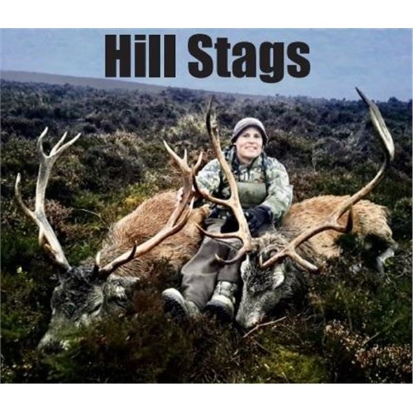 Red Stag hunt in Scotland for 1 hunter