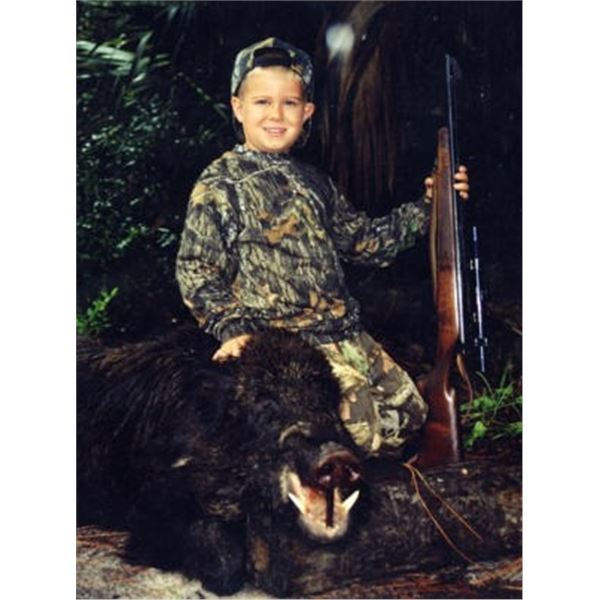 Wild Boar Hunt for up to 4 Hunters Ross Hammock Ranch (with the Optional Use of Bay Dogs)