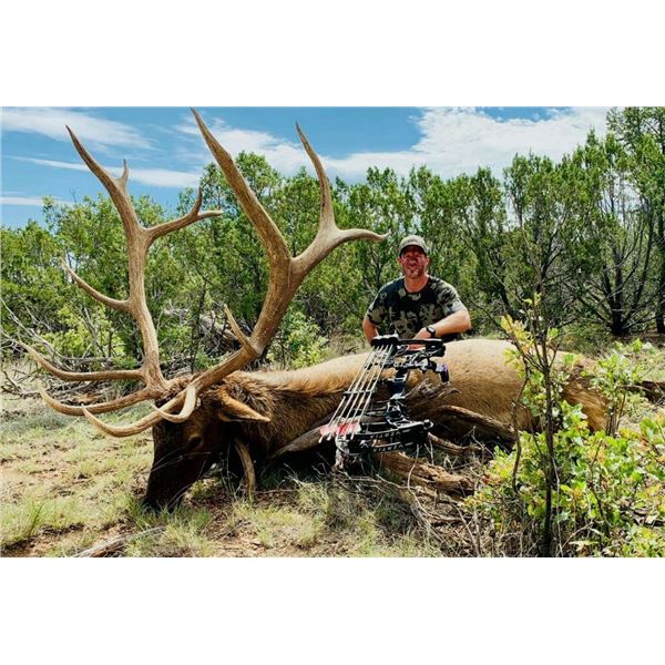 New Mexico Elk, Mule Deer, and Black Bear Archery Combo Hunt for 2 hunters