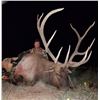 Image 2 : New Mexico Elk, Mule Deer, and Black Bear Archery Combo Hunt for 2 hunters