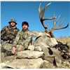 Image 5 : New Mexico Elk, Mule Deer, and Black Bear Archery Combo Hunt for 2 hunters
