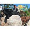 Image 2 : Black Bear Hunt for 1 Hunter in New Brunswick, Canada