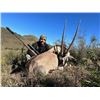 Image 1 : Eastern Cape South Africa includes 3 Animals