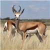 Image 2 : Eastern Cape South Africa includes 3 Animals
