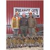 Image 1 : Pheasant Hunt For 2 in South Dakota