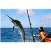 Image 7 : Sport Fishing for 2- Los Cabos