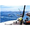 Image 9 : Sport Fishing for 2- Los Cabos