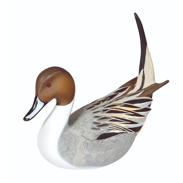 Pintail Decoy
