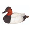 Image 1 : Canvasback Decoy