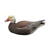 Image 1 : Blue Snow Goose Decoy