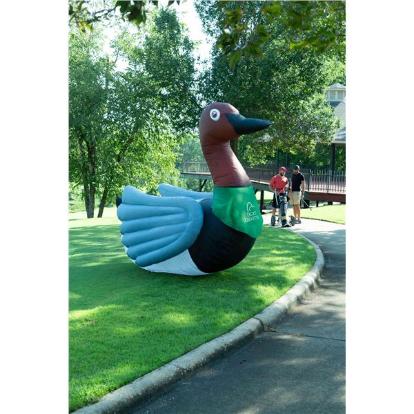 Inflatable Canvasback