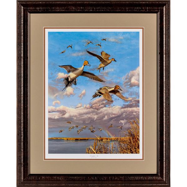 “Droppin’ In” by Scot Storm